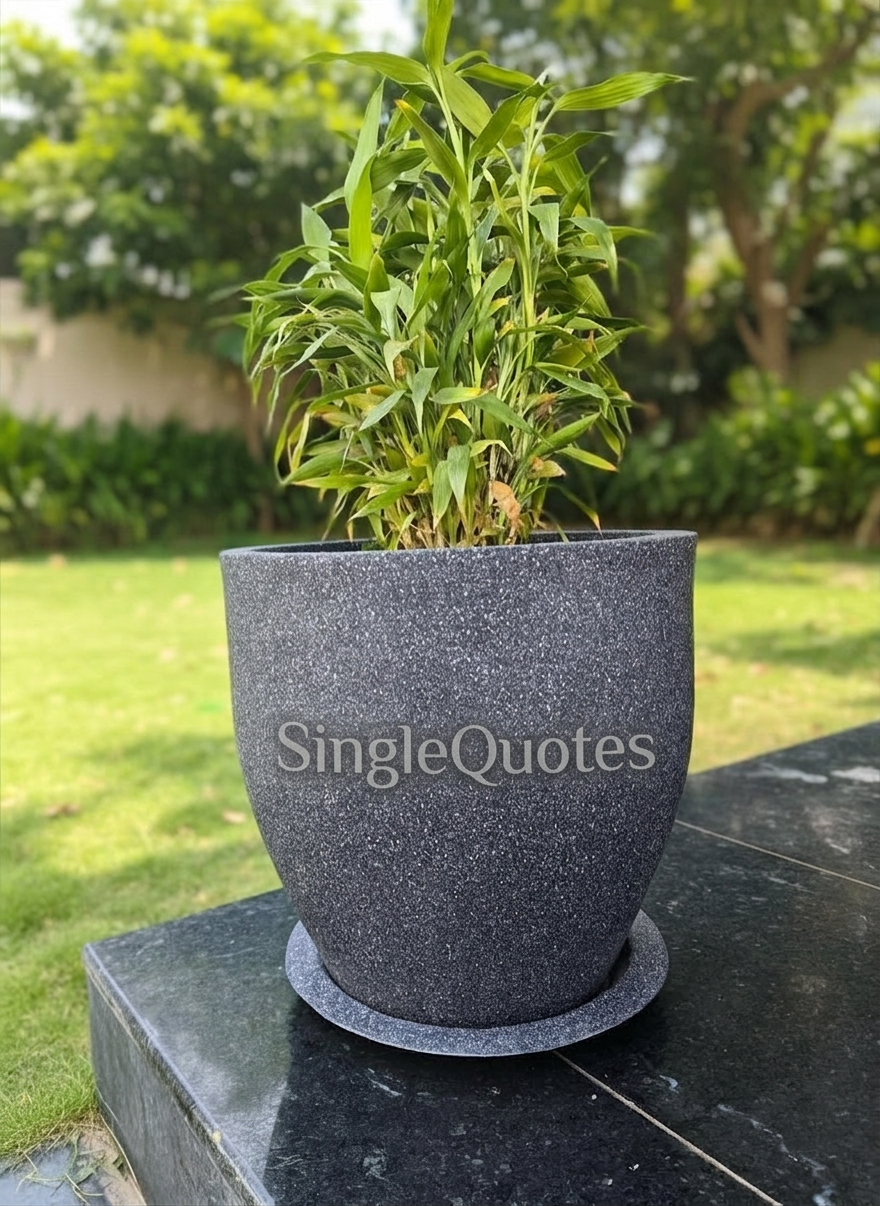 ROYARA 18 inch Planter with Tray - Black Stone