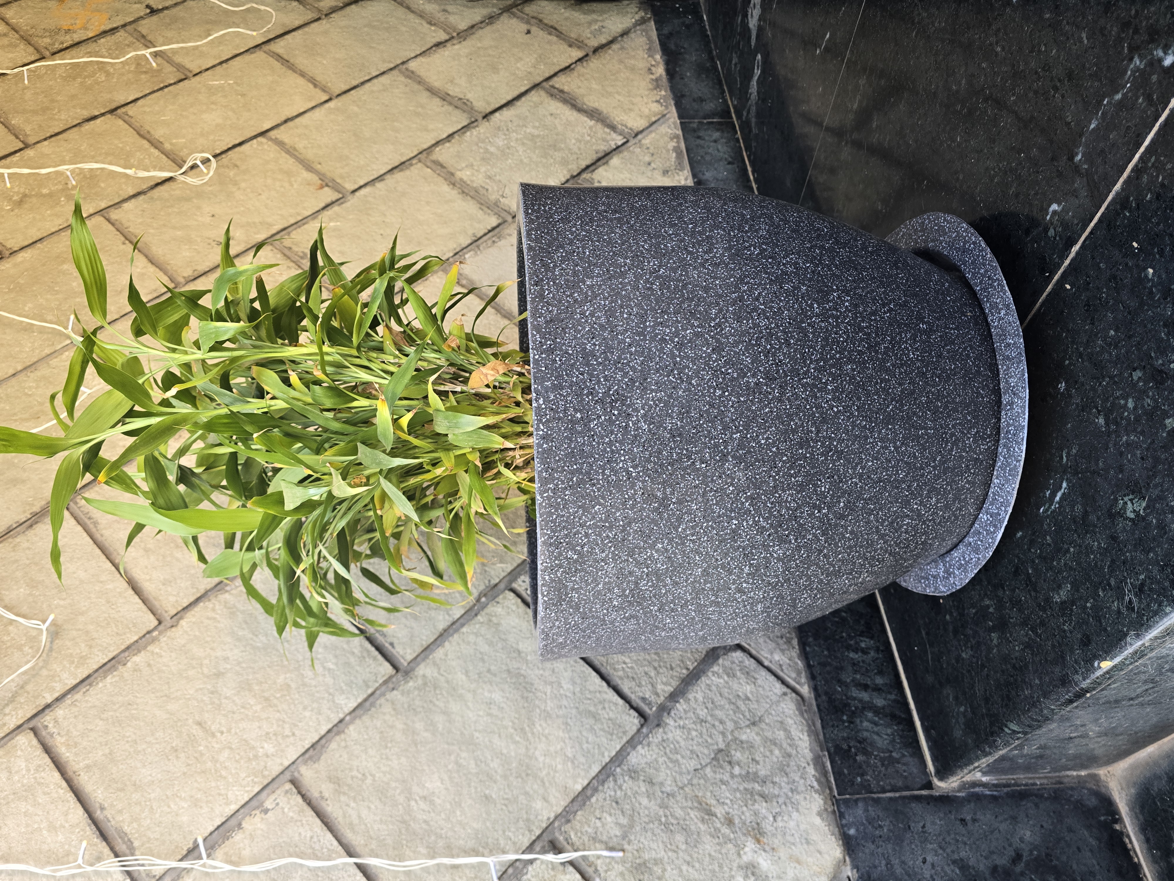 Shop and style with planters that fit your space. From rustic terracotta to sleek ceramic, discover the ultimate guide to choosing the perfect pot.
